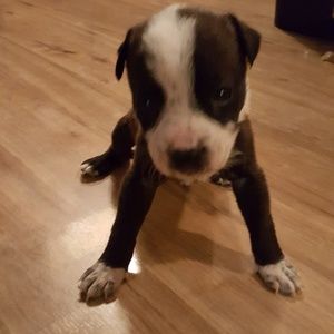 Meet your Posher, Jeremy